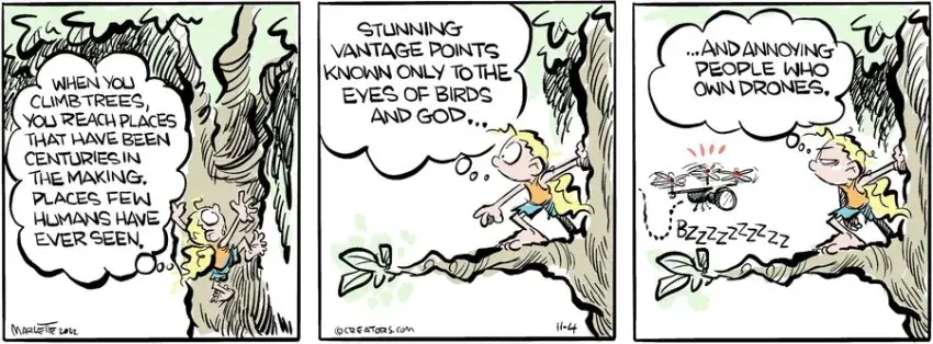 Shrimp and Grits for Nov 04, 2022