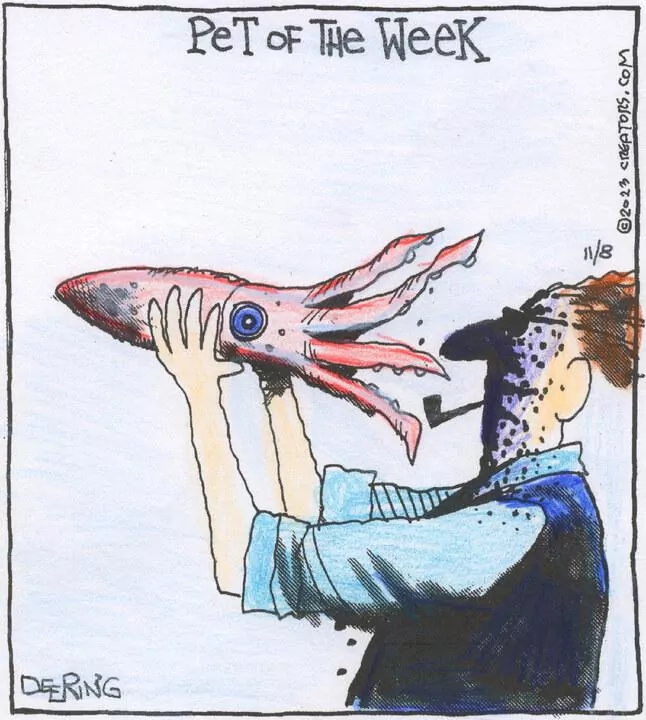 Strange Brew for Nov 08, 2023