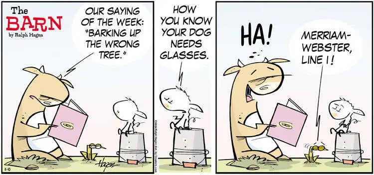 The Barn for Nov 10, 2024