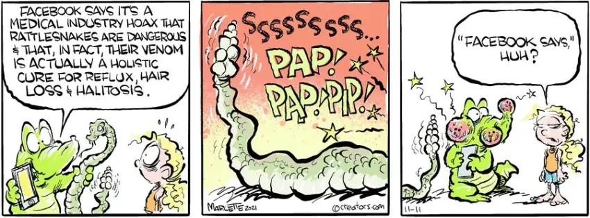 Shrimp and Grits for Nov 11, 2021