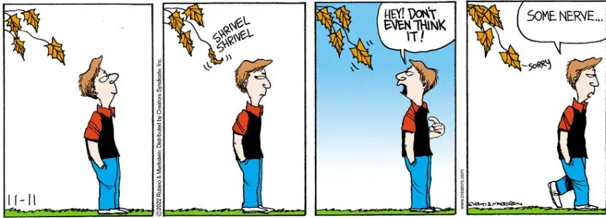 Daddy's Home for Nov 11, 2022