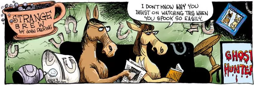 Strange Brew for Nov 12, 2023