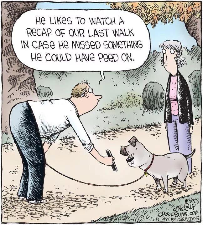 Speed Bump for Nov 13, 2023