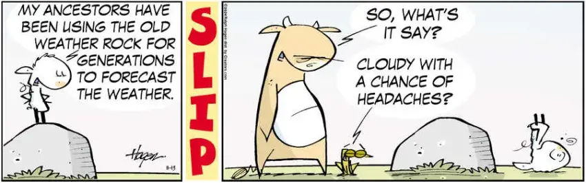 The Barn for Nov 13, 2024