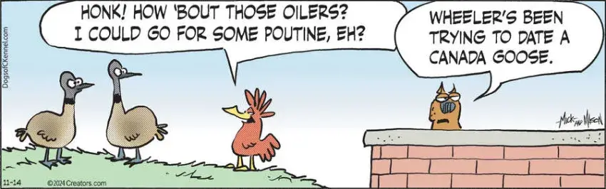 Dogs of C-Kennel for Nov 14, 2024