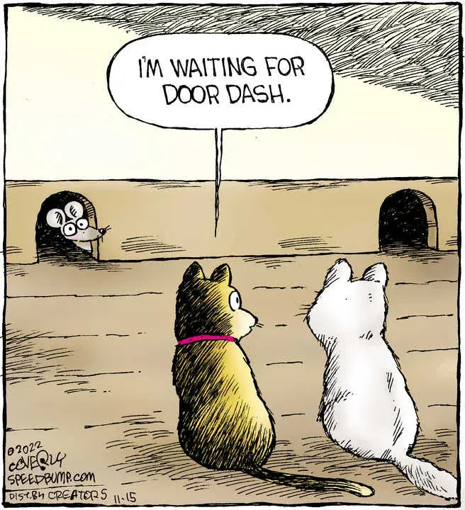 Speed Bump for Nov 15, 2022