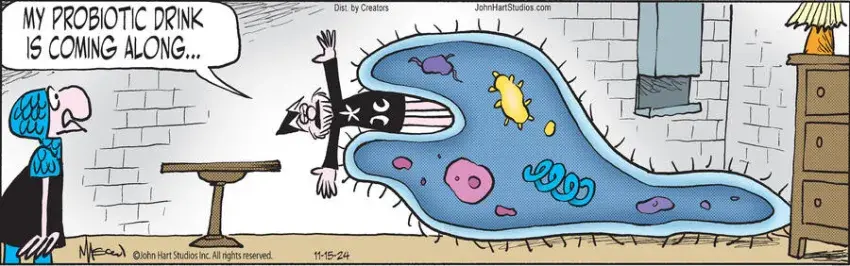 Wizard of Id for Nov 15, 2024