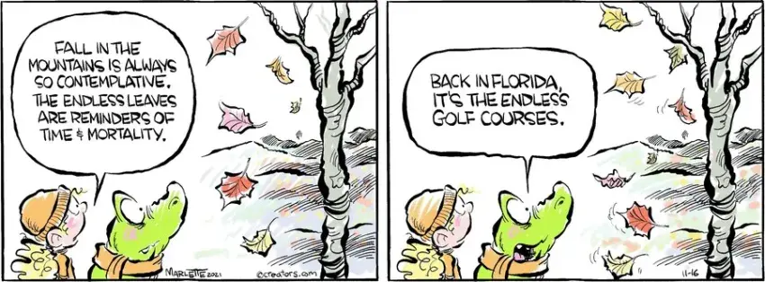 Shrimp and Grits for Nov 16, 2021