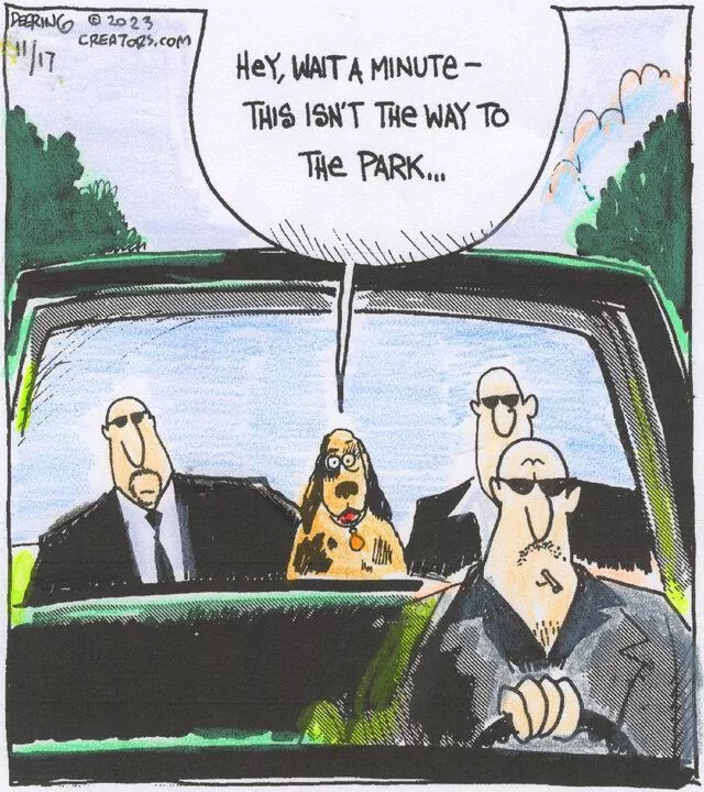 Strange Brew for Nov 17, 2023