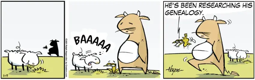 The Barn for Nov 19, 2021