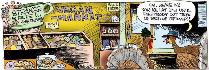 Strange Brew for Nov 19, 2023