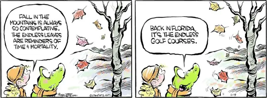 Shrimp and Grits for Nov 19, 2024