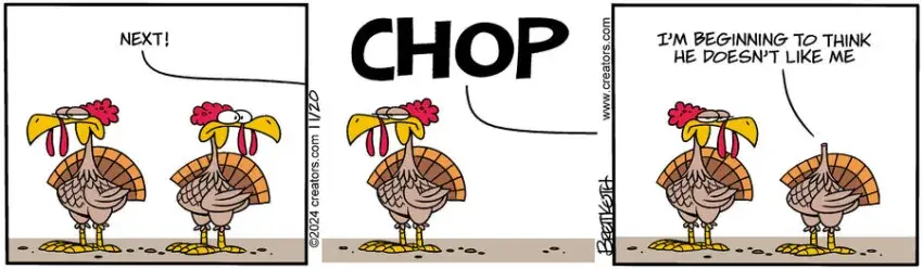 Diamond Lil for Nov 20, 2024