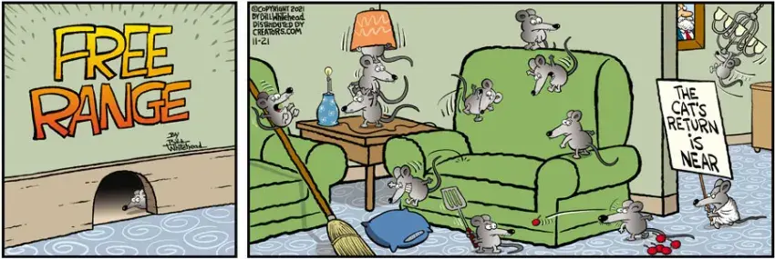 Free Range for Nov 21, 2021