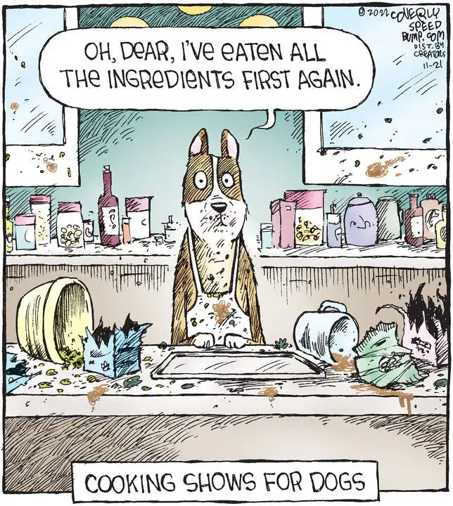 Speed Bump for Nov 21, 2022