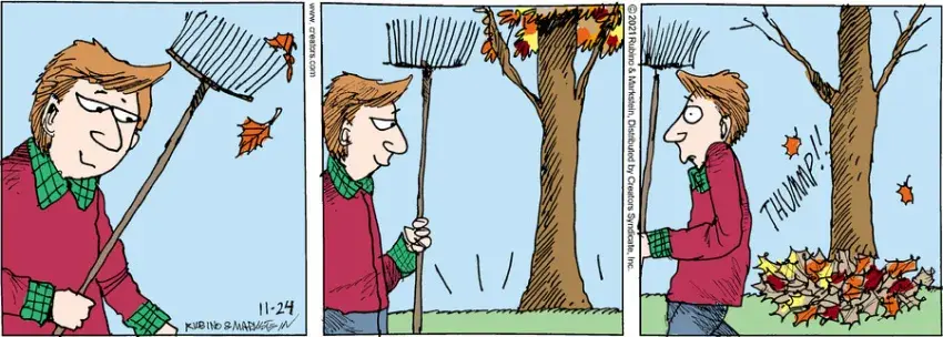 Daddy's Home for Nov 24, 2021