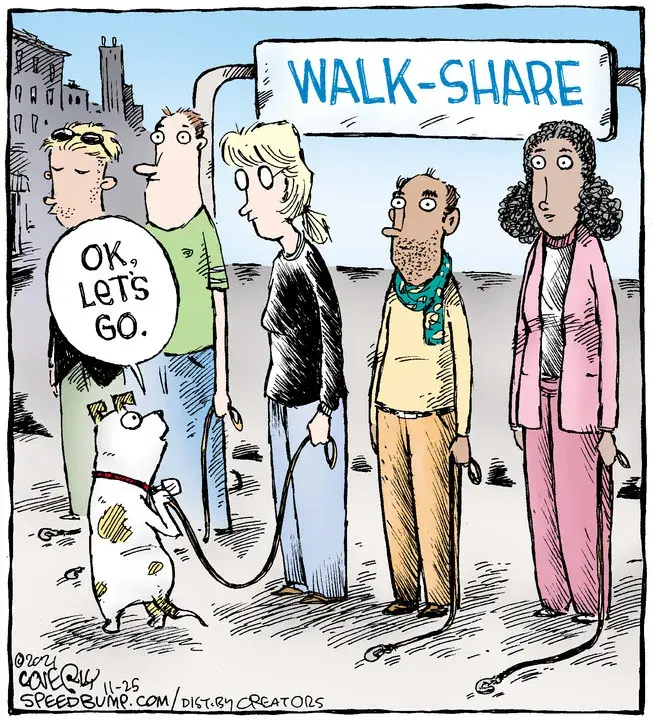 Speed Bump for Nov 25, 2021