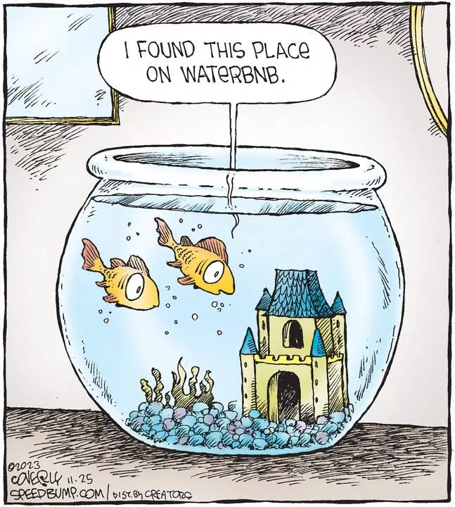 Speed Bump for Nov 25, 2023