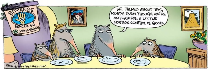 Strange Brew for Nov 26, 2023