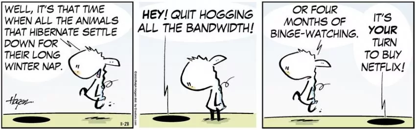 The Barn for Nov 28, 2023