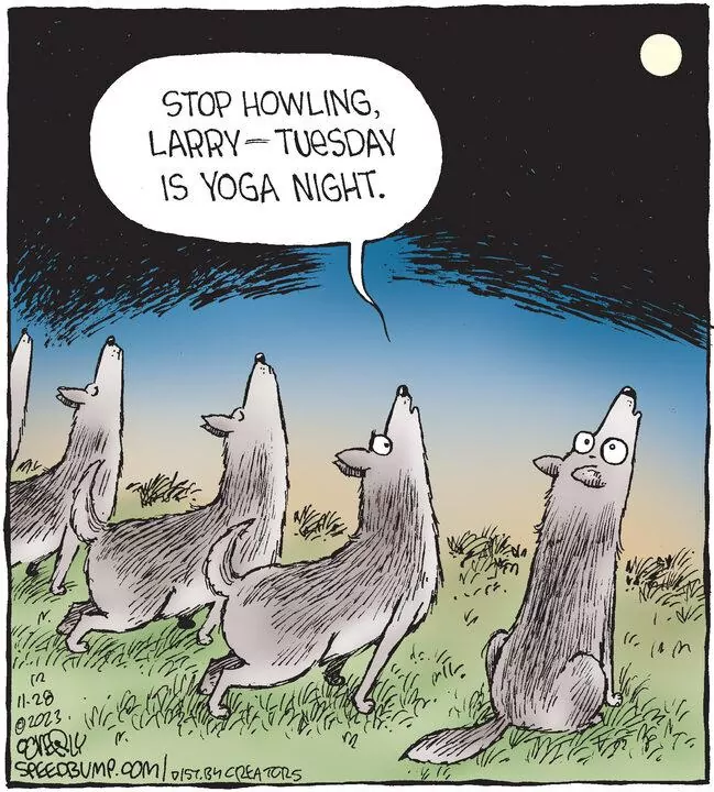 Speed Bump for Nov 28, 2023