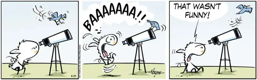 The Barn for Nov 29, 2022