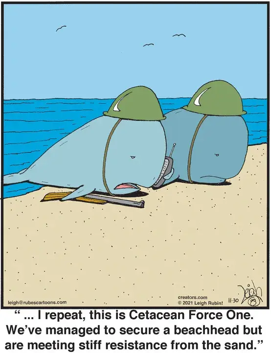 Rubes® for Nov 30, 2021