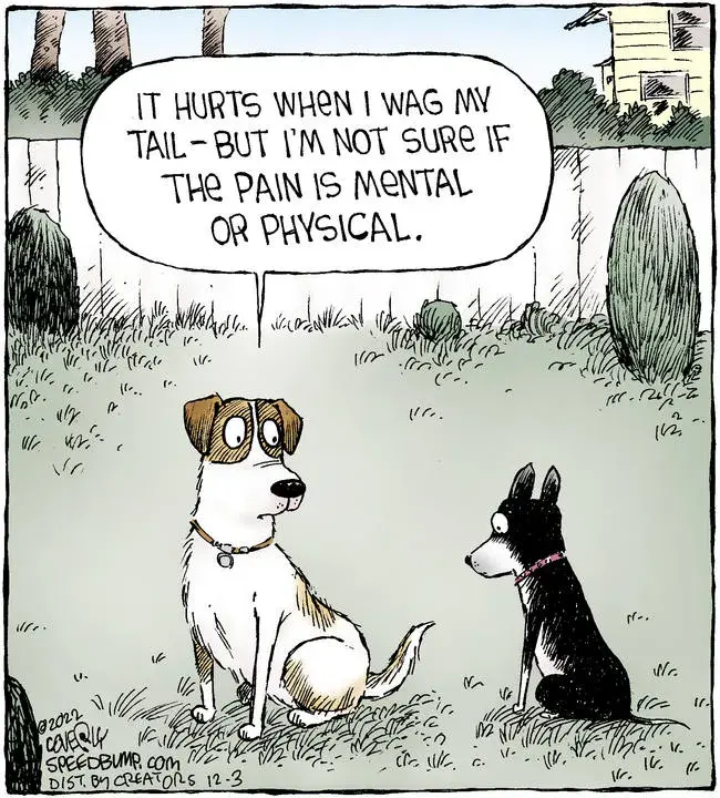 Speed Bump for Dec 03, 2022