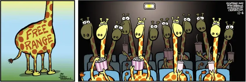 Free Range for Dec 04, 2022