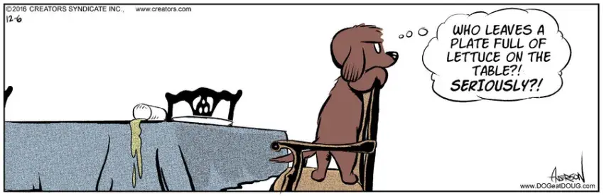 Dog Eat Doug for Dec 06, 2021