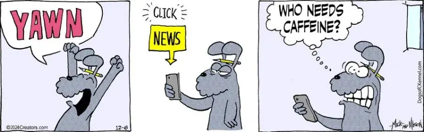 Dogs of C-Kennel for Dec 06, 2024