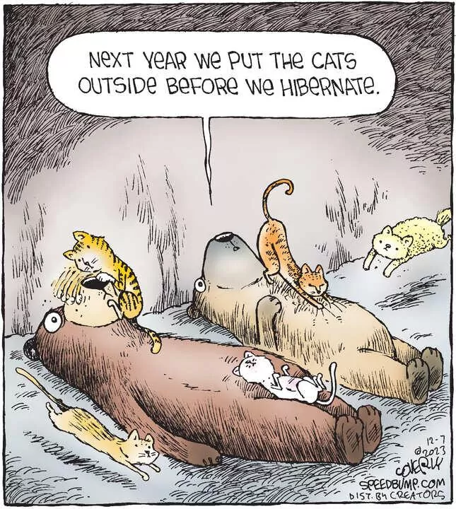 Speed Bump for Dec 07, 2023