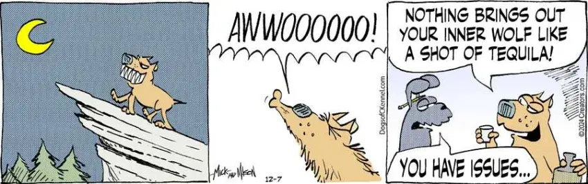 Dogs of C-Kennel for Dec 07, 2024