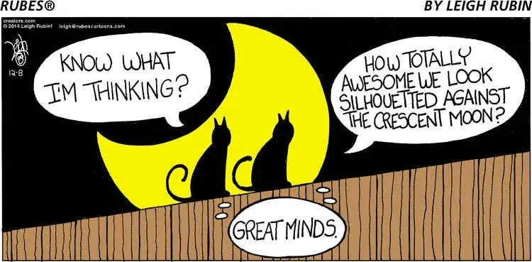 Rubes® for Dec 08, 2024