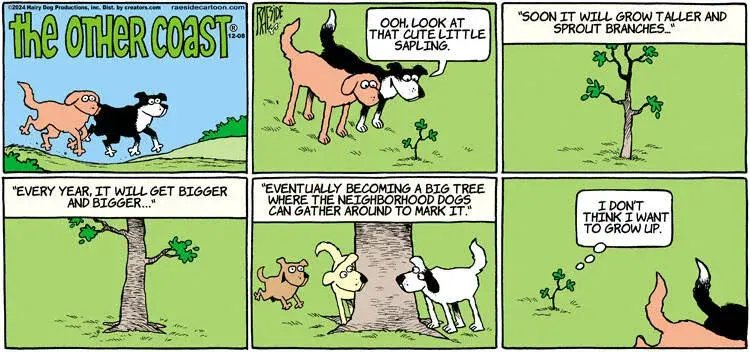 The Other Coast for Dec 08, 2024