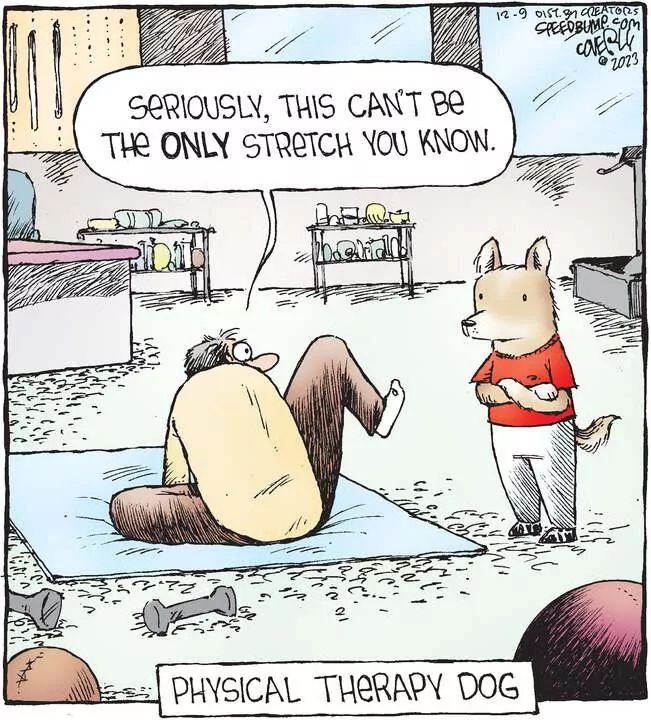 Speed Bump for Dec 09, 2023