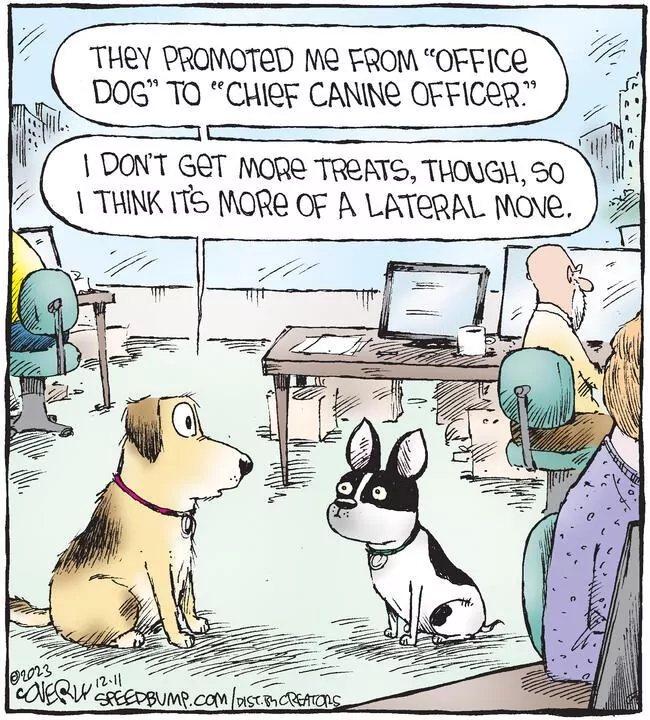 Speed Bump for Dec 11, 2023