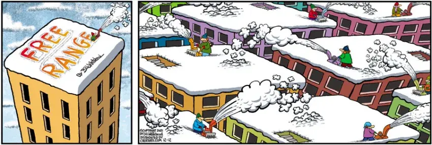 Free Range for Dec 12, 2021