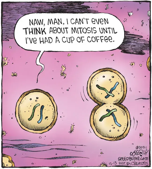 Speed Bump for Dec 13, 2021