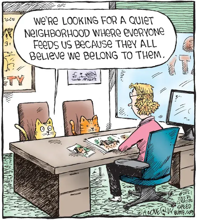 Speed Bump for Dec 14, 2021