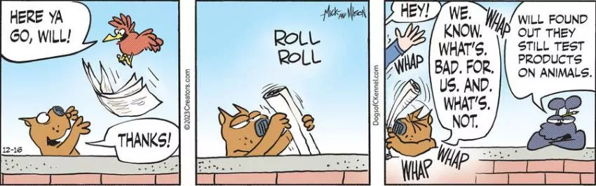 Dogs of C-Kennel for Dec 16, 2023