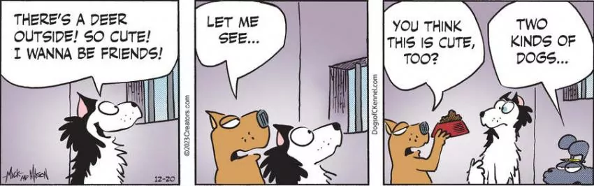 Dogs of C-Kennel for Dec 20, 2023