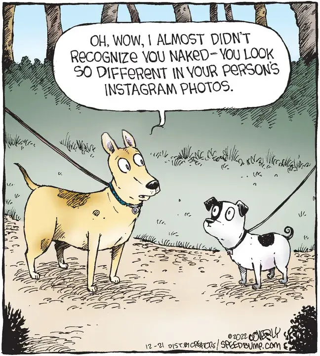 Speed Bump for Dec 21, 2022