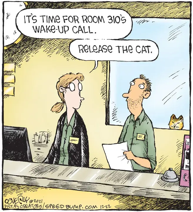 Speed Bump for Dec 22, 2021