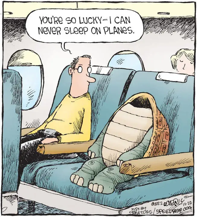 Speed Bump for Dec 22, 2022