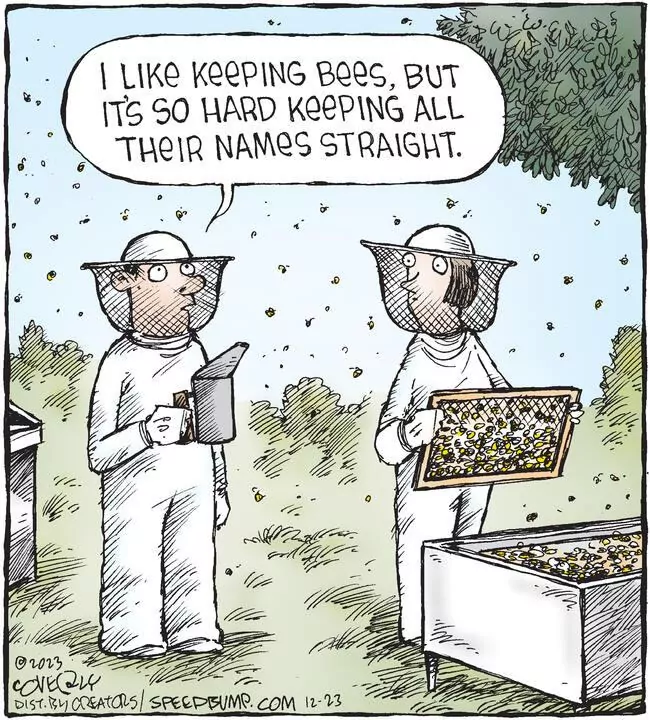 Speed Bump for Dec 23, 2023