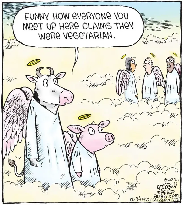 Speed Bump for Dec 24, 2021