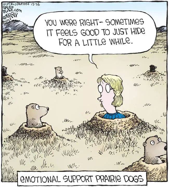 Speed Bump for Dec 26, 2022