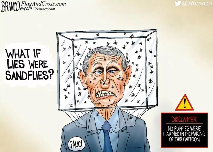 A.F. Branco for Oct 27, 2021
