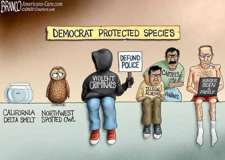 A.F. Branco for Oct 20, 2022
